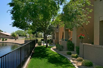 Landscaping at Haven at Arrowhead Apartments in Glendale Arizona 2021 3